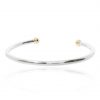 Silver and Gold Torque Bangle Heidi Kjeldsen Jewellery BL1408 Flat