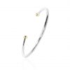 Silver and Gold Torque Bangle Heidi Kjeldsen Jewellery BL1408 Vertical