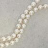 Margit Akoya Pearl 14ct Gold Necklace Heidi Kjeldsen Jewellers NL966 still