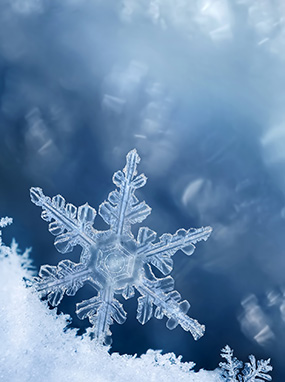 A Rutland Collection - Winter Jewels - Heidi Kjeldsen - Snowflake