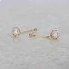 Pearl Drop Earrings Heidi Kjeldsen Jewellery ER1573 still
