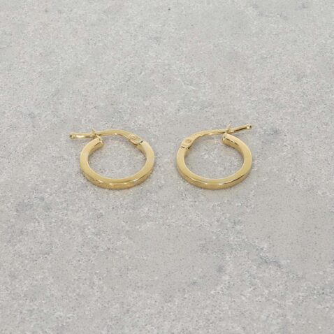 9ct Yellow Gold Hooped Earrings Heidi Kjeldsen Jewellery ER4919 still1