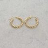 9ct Yellow Gold Twist Hooped Earrings Heidi Kjeldsen Jewellery ER4924 still