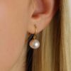 Sofia Cultured Pearl Drop Earrings Heidi Kjeldsen Jewellers ER5001
