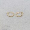 Eliza 9ct Yellow Gold Hooped Earrings Heidi Kjeldsen Jewellery ER5070 still
