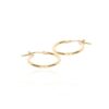 Eliza 9ct Yellow Gold Hooped Earrings Heidi Kjeldsen Jewellery ER5070 white1