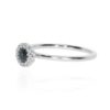 Sara Sapphire Silver Cluster Ring Heidi Kjeldsen Jewellery R5013 white